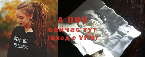 гашиш Богданович