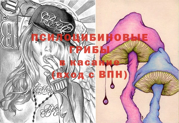 прущие крисы Богородицк