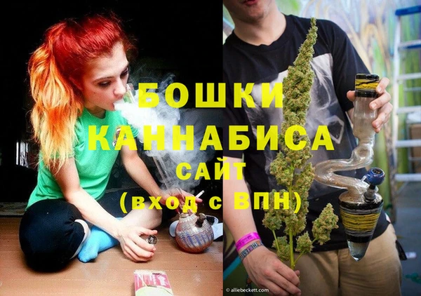 гашиш Богданович