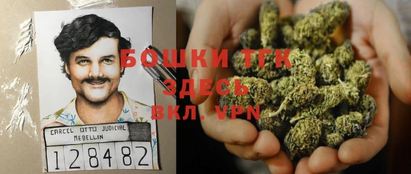 гашиш Богданович