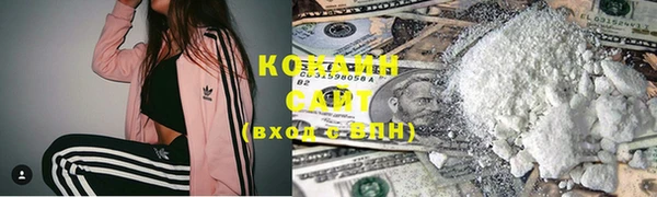 гашиш Богданович