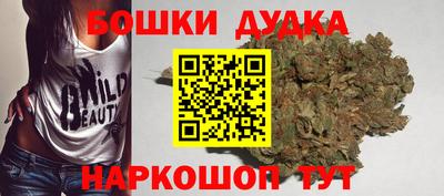 крисы Бийск