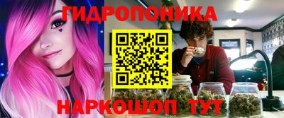 крисы Бийск