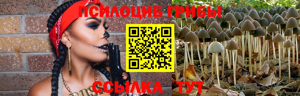 Псилоцибиновые грибы Psilocybine cubensis  Вход с VPN  купить   Горячий Ключ 