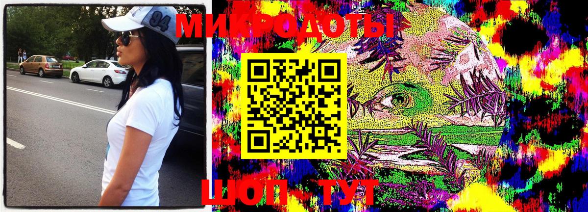 Псилоцибиновые грибы Psilocybine cubensis Горячий Ключ