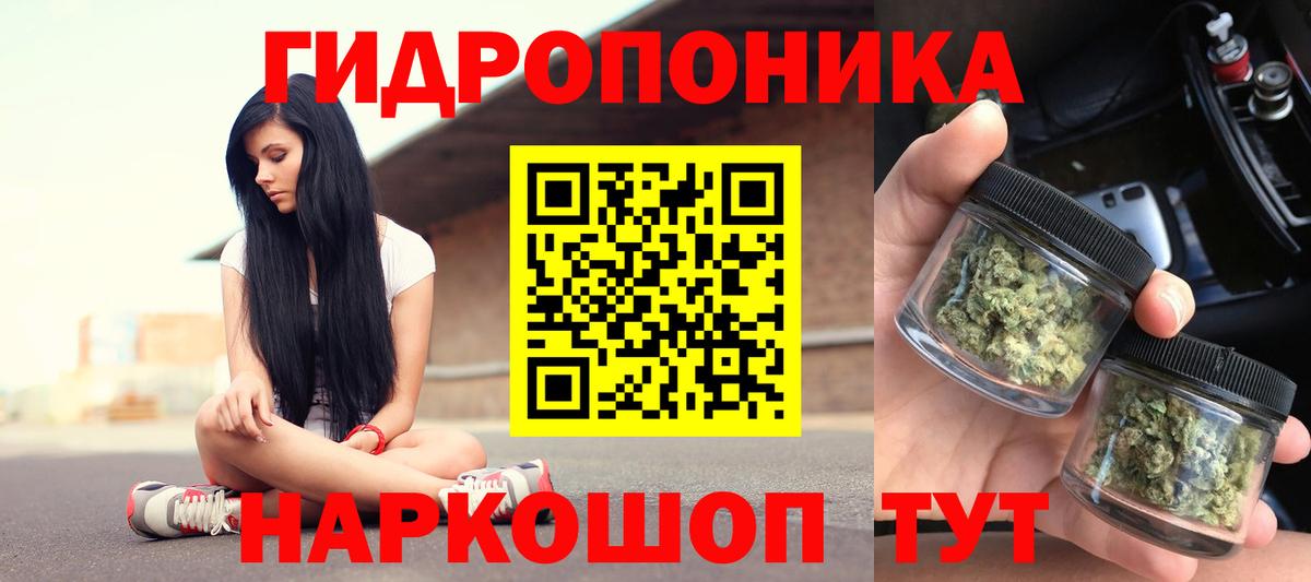 Бошки Шишки OG Kush  Конопля семена  Горячий Ключ  Каннабис Bruce Banner  Вход с VPN  Марихуана Bruce Banner 